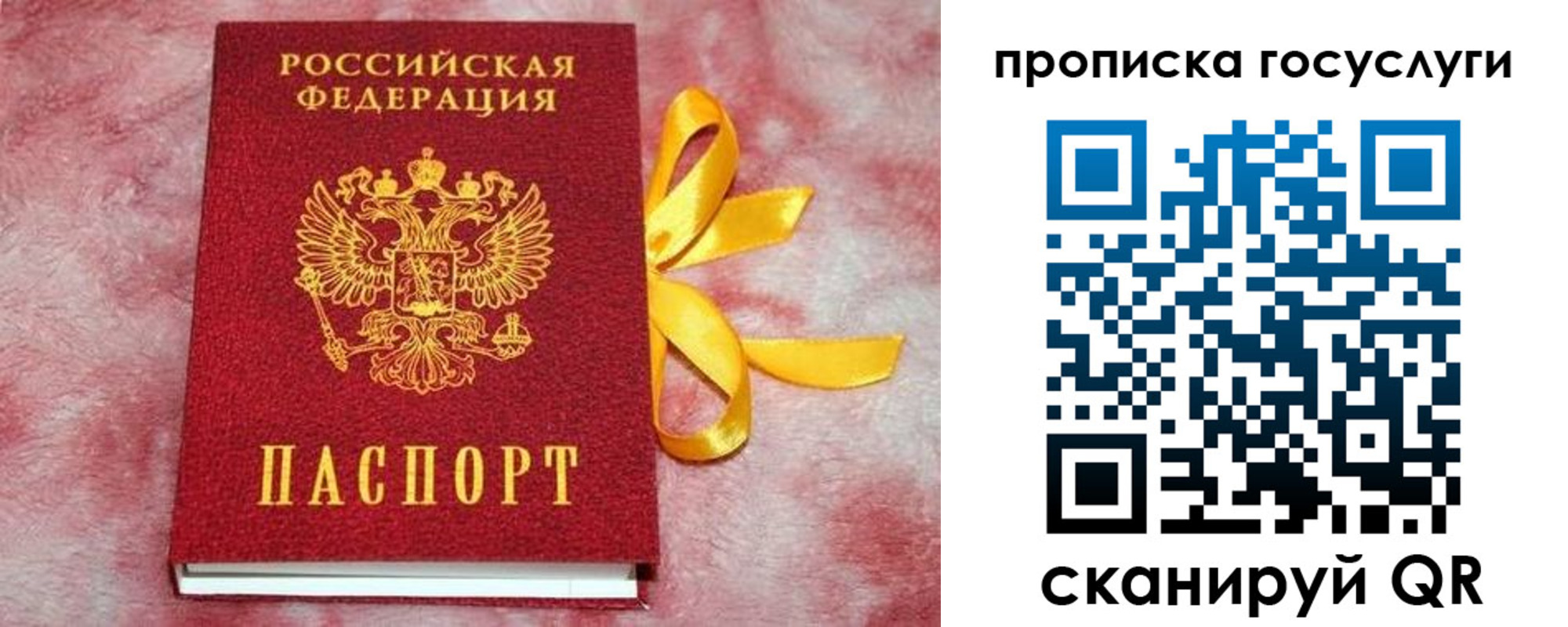 прописка законно в Киселёвске